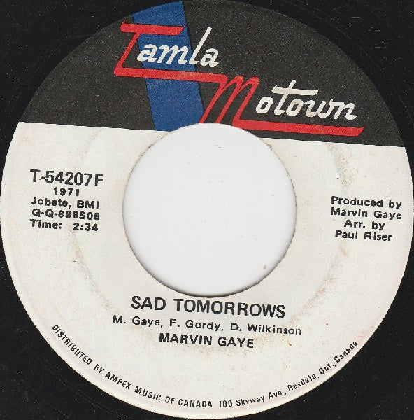 Marvin Gaye : Mercy Mercy Me (The Ecology) (7", Single)