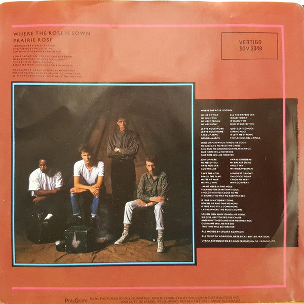 Big Country : Where The Rose Is Sown (7", Single)
