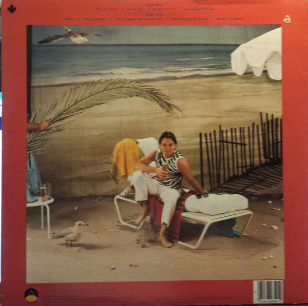 Timothy B. Schmit : Playin' It Cool (LP, Album)