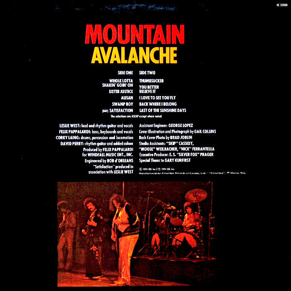 Mountain : Avalanche (LP, Album)