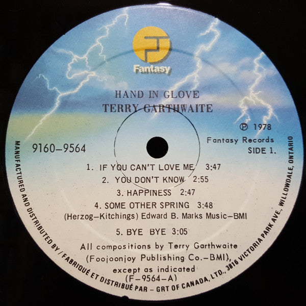 Terry Garthwaite : Hand In Glove (LP, Album)