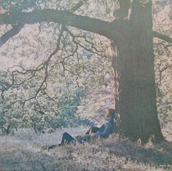 Yoko Ono / Plastic Ono Band* : Yoko Ono / Plastic Ono Band (LP, Album, Jac)