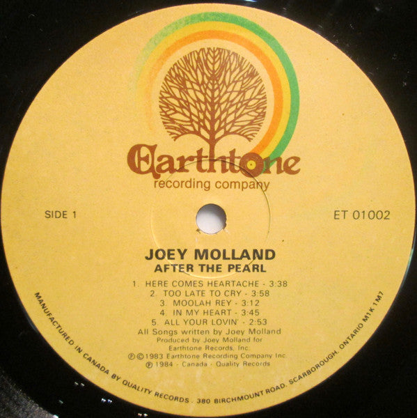 Joey Molland : After The Pearl (LP, Album)