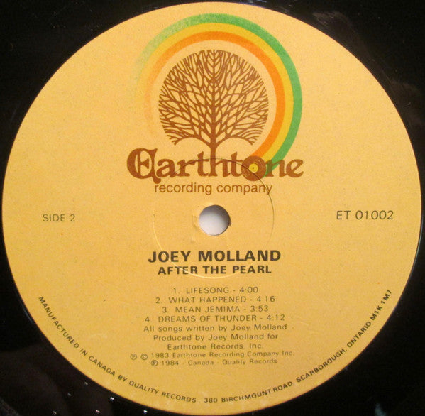 Joey Molland : After The Pearl (LP, Album)
