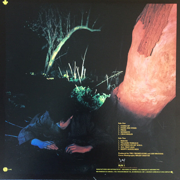 Echo And The Bunnymen* : Crocodiles (LP, Album, Qua)