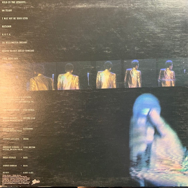Garland Jeffreys : Rock & Roll Adult (LP, Album)