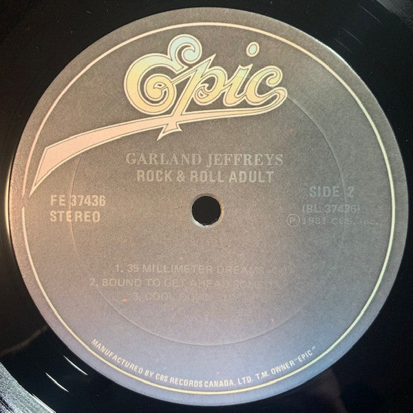 Garland Jeffreys : Rock & Roll Adult (LP, Album)