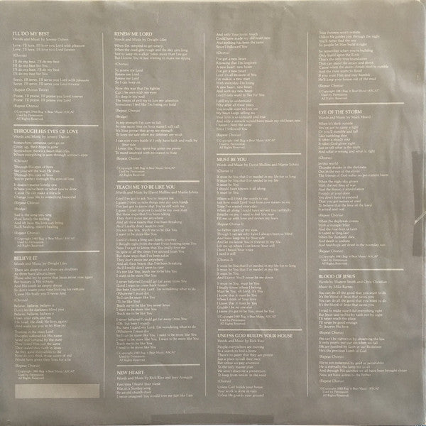 Steve Archer : Through His Eyes (LP, Album)
