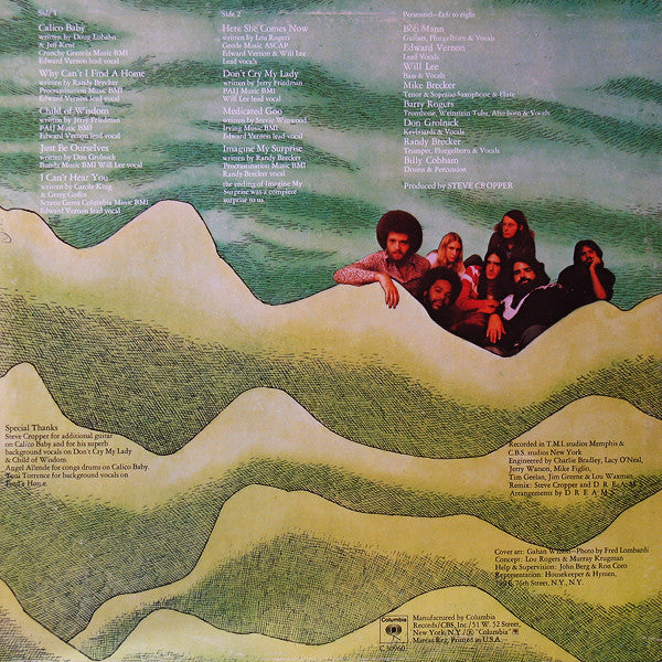 Dreams (4) : Imagine My Surprise (LP, Album, Pit)