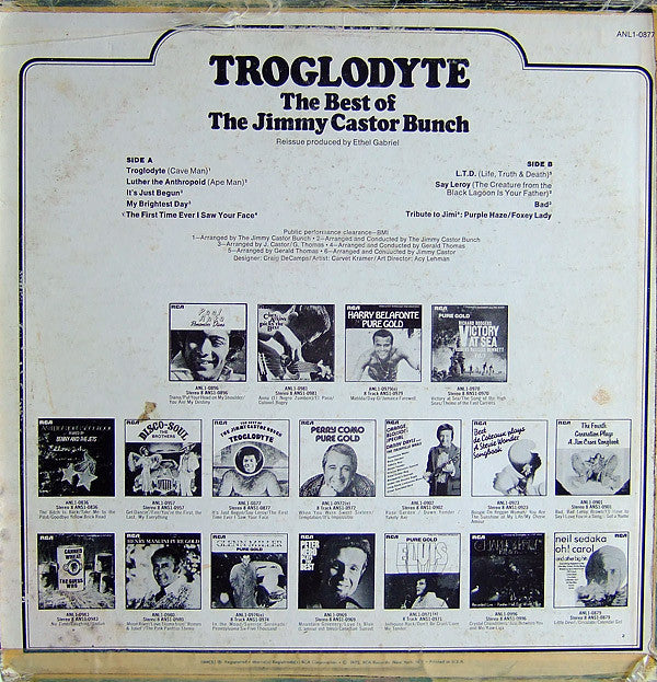 The Jimmy Castor Bunch : Troglodyte: The Best Of The Jimmy Castor Bunch (LP, Comp)