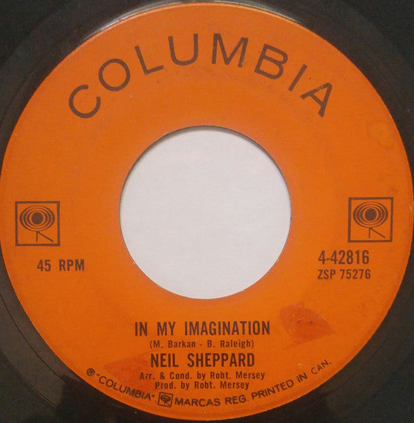 Neil Sheppard : In My Imagination (7", Single)