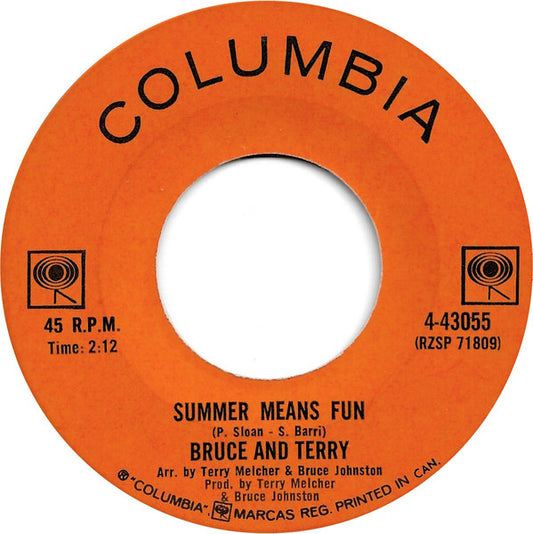 Bruce And Terry* : Summer Means Fun (7")