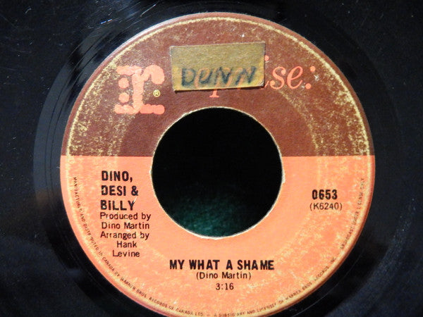 Dino, Desi & Billy : My What a Shame (7", Single)