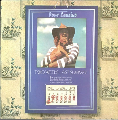 Dave Cousins : Two Weeks Last Summer (LP, Album)