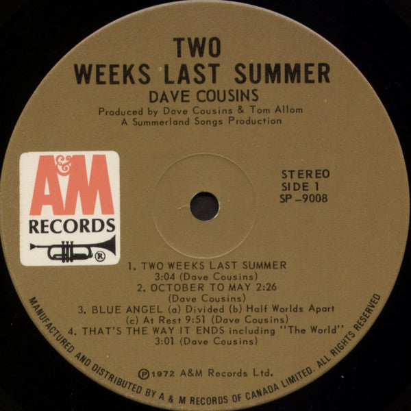 Dave Cousins : Two Weeks Last Summer (LP, Album)