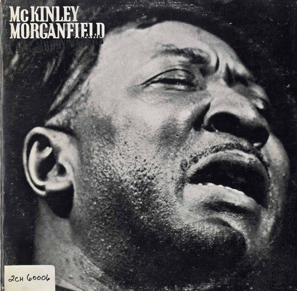 Muddy Waters : McKinley Morganfield A.K.A. Muddy Waters (2xLP, Comp, Mono)