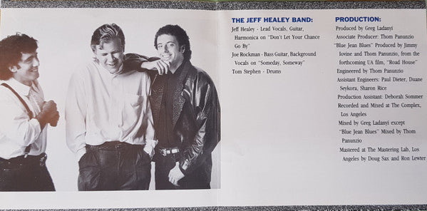 The Jeff Healey Band : See The Light (CD, Album)