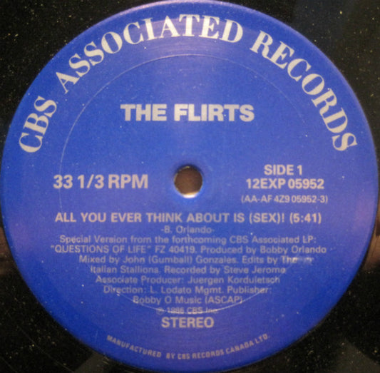 The Flirts : All You Ever Think About Is (Sex) (12")