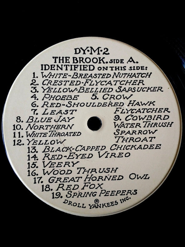No Artist : The Brook (7")