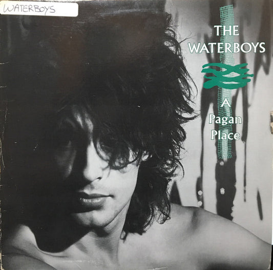 The Waterboys : A Pagan Place (LP, Album)