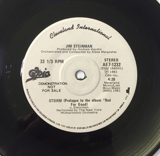 Jim Steinman : Storm / Rock And Roll Dreams Come Through (7", Promo)