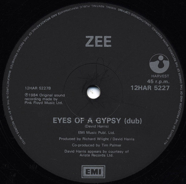 Zee (3) : Cönfüsiön (Extended Mix) (12")