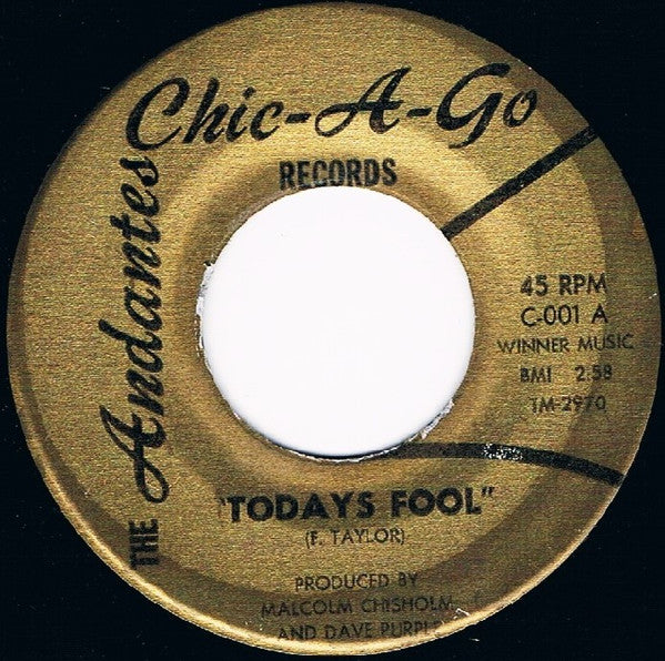 The Andantes (2) : Today's Fool / Lady (7")