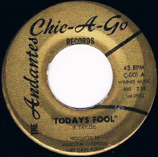 The Andantes (2) : Today's Fool / Lady (7")