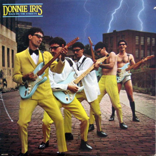Donnie Iris : Back On The Streets (LP, Album)