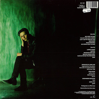 The Weather Prophets : Mayflower (LP, Album)