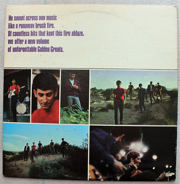 Gary Lewis & The Playboys : More Golden Greats (LP, Comp, Gat)