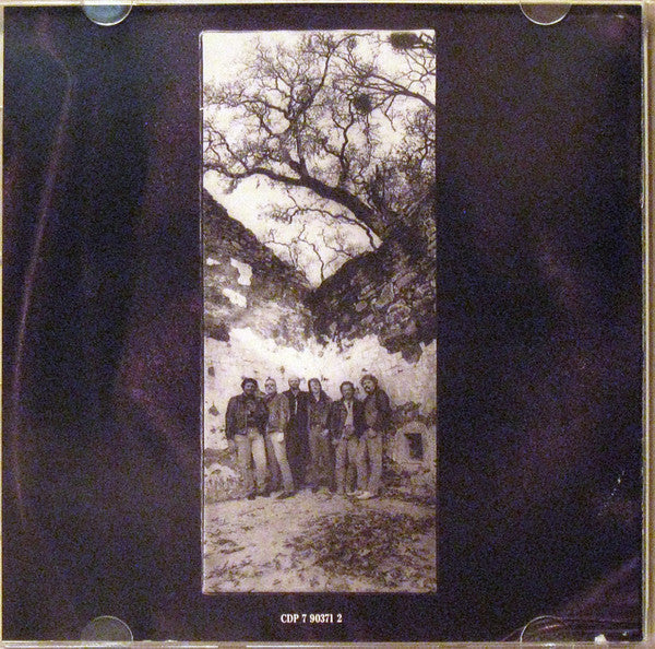 The Doobie Brothers : Cycles (CD, Album)