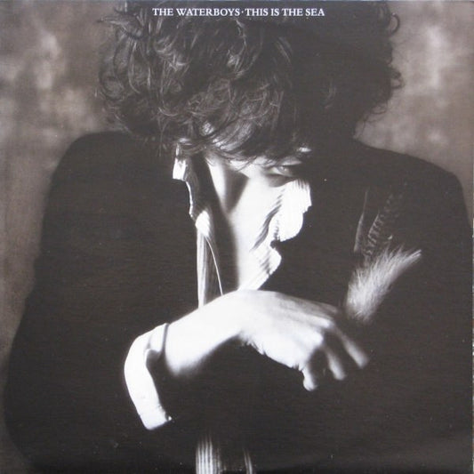 The Waterboys : This Is The Sea (LP, Album)