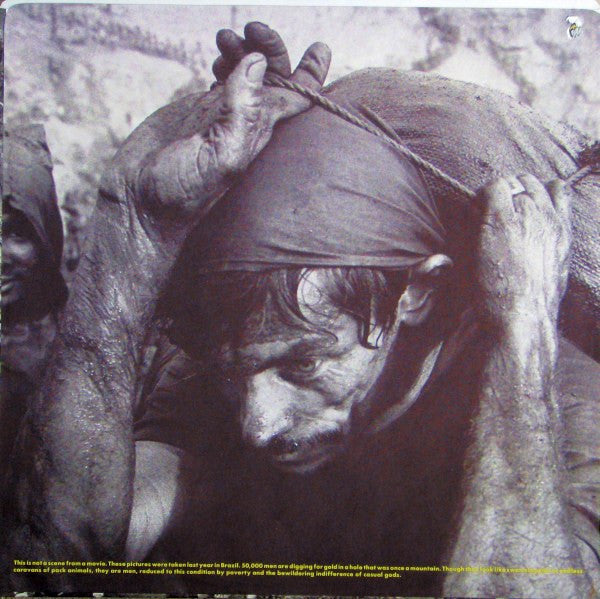 Jerry Harrison : Casual Gods* : Casual Gods (LP, Album)