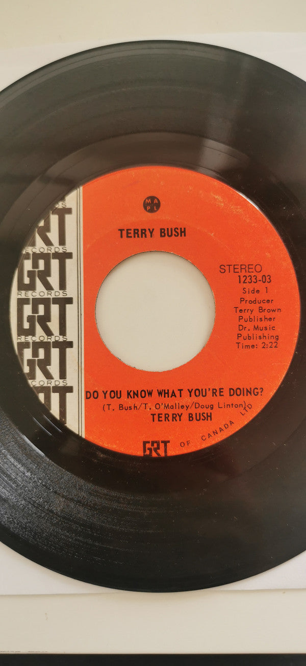 Terry Bush : Do You Know What You're Doing? (7", Single)