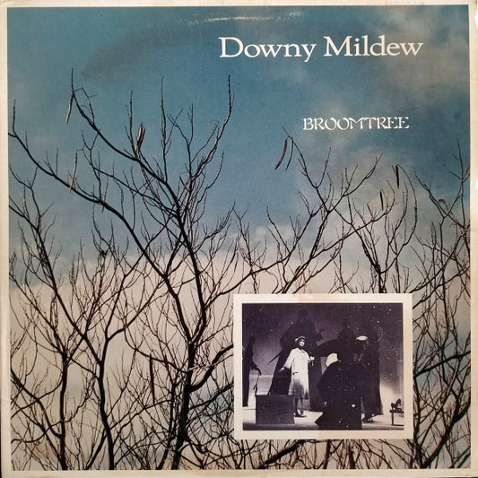 Downy Mildew : Broomtree (LP, Album)
