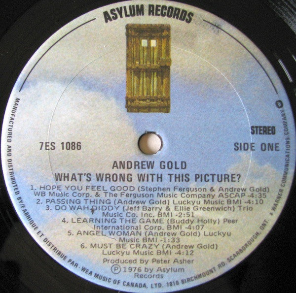 Andrew Gold : What's Wrong With This Picture? (LP, Album)