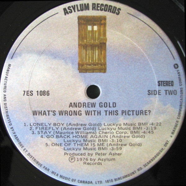 Andrew Gold : What's Wrong With This Picture? (LP, Album)