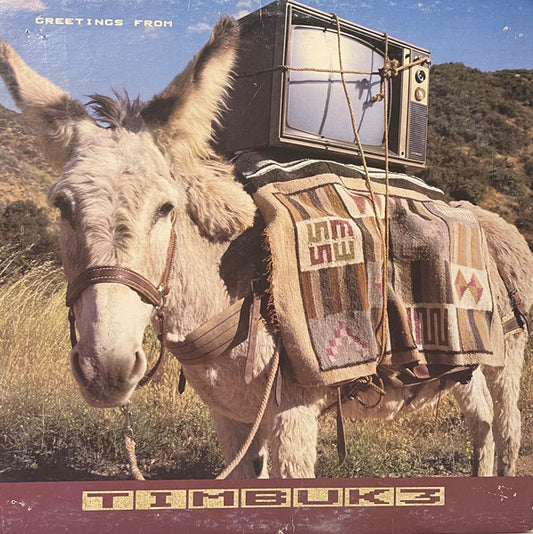 Timbuk 3 : Greetings From Timbuk 3 (LP, Album, Club)