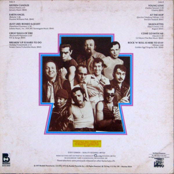 Sha Na Na : Sha Na Na Is Here To Stay (LP, Comp)