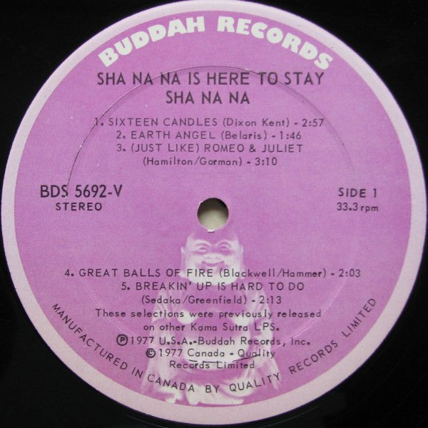 Sha Na Na : Sha Na Na Is Here To Stay (LP, Comp)