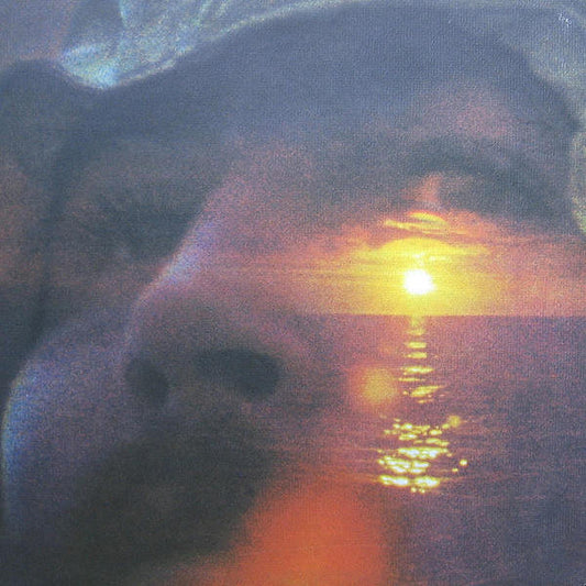 David Crosby : If I Could Only Remember My Name (LP, Album, RE, Gat)