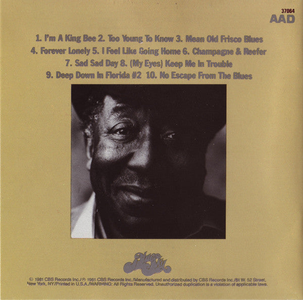 Muddy Waters : King Bee (CD, Album, RE)