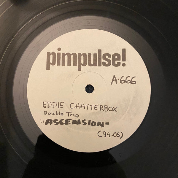 Eugene Chadbourne With Camper Van Beethoven (aka) Camper Van Chadbourne : Camper Van Chadbourne (LP, Album)