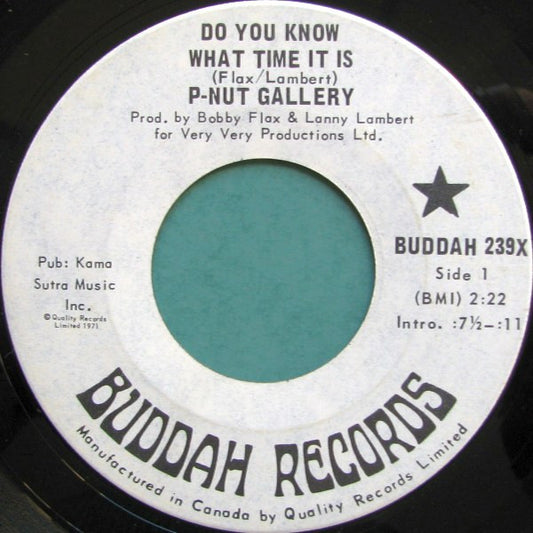 P-Nut Gallery : Do You Know What Time It Is (7", Single)