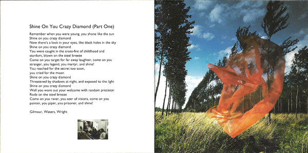 Pink Floyd : Wish You Were Here (CD, Album, RM)