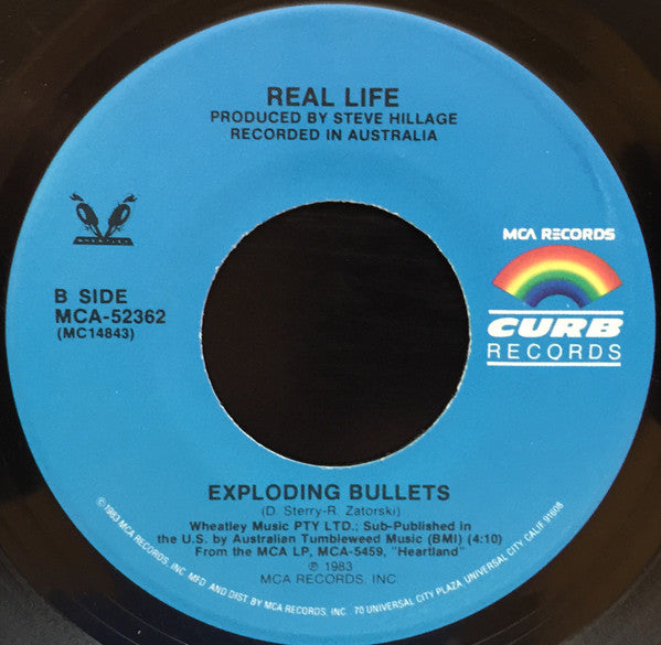 Real Life : Catch Me I'm Falling (7", Single)