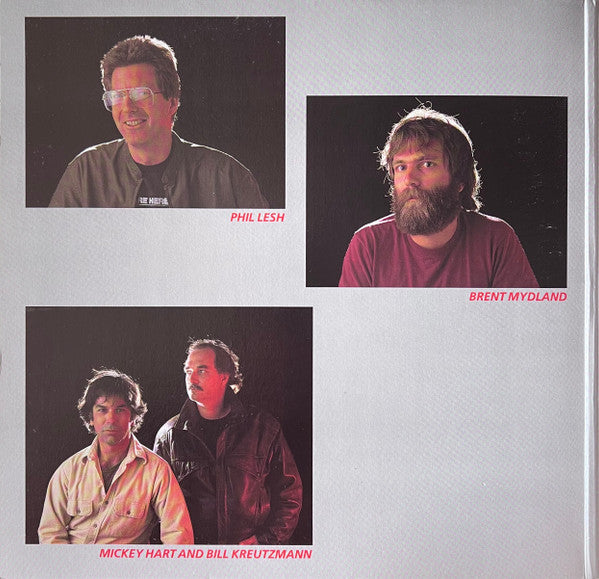 Grateful Dead* : In The Dark (LP, Album, No )