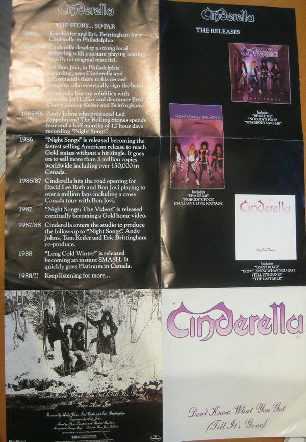 Cinderella (3) : Don't Know What You Got (Till It's Gone) (7", Single, Pos)