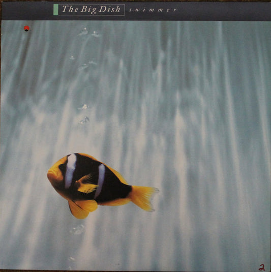 The Big Dish : Swimmer (LP, Album)